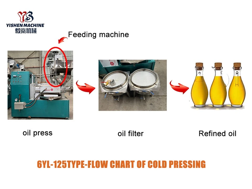 Automatic Oil Extraction Machine